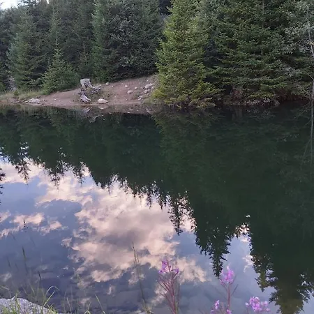 Snow Magic Grand Monastery * بامبوروفو