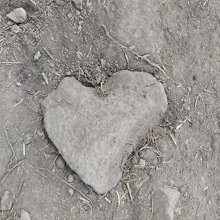 Snow Magic Grand Monastery * بامبوروفو