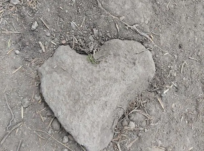 Snow Magic Grand Monastery * パンポロボ