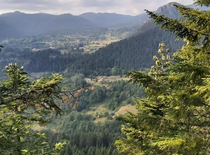 Snow Magic Grand Monastery アパート パンポロボ